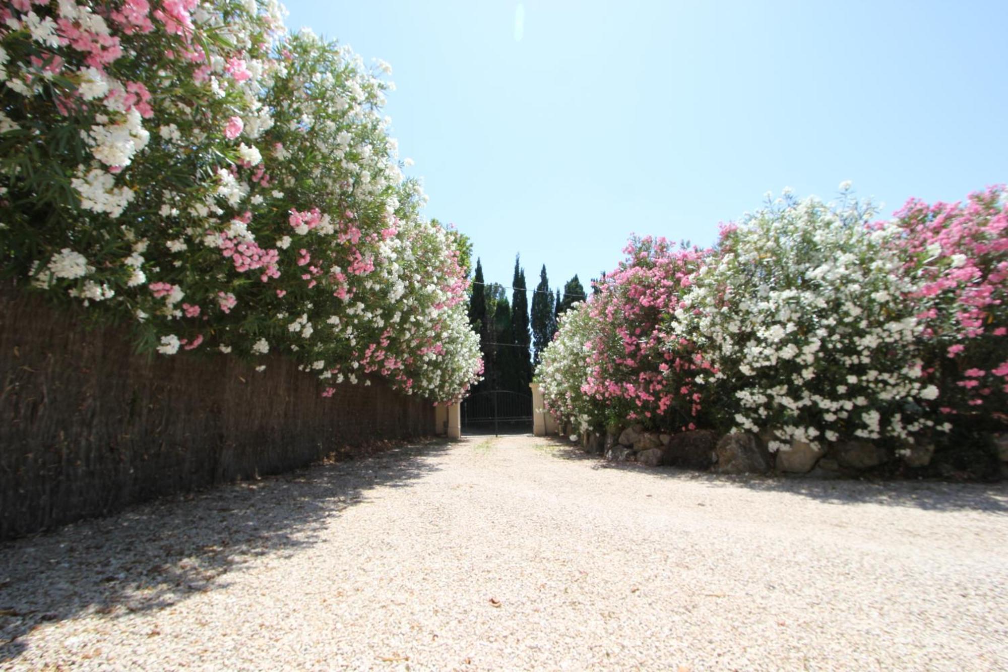 Mas Paloma Bed & Breakfast Rognonas ภายนอก รูปภาพ