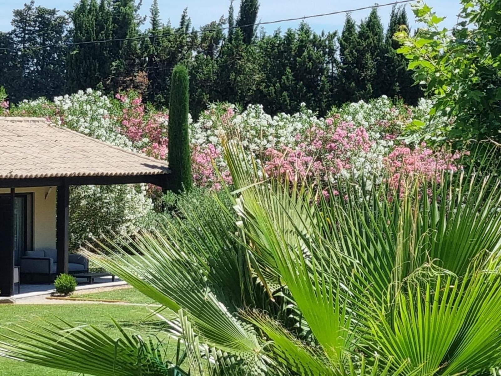 Mas Paloma Bed & Breakfast Rognonas ภายนอก รูปภาพ