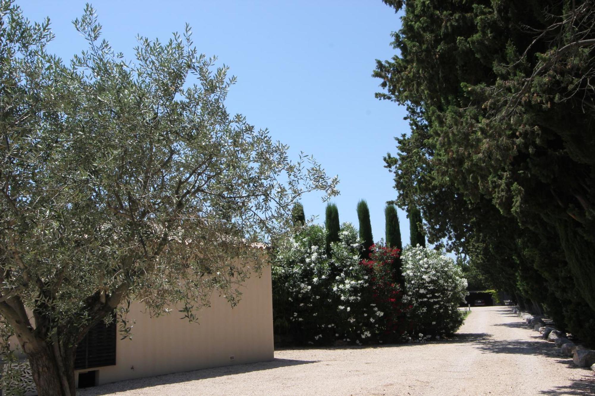 Mas Paloma Bed & Breakfast Rognonas ภายนอก รูปภาพ